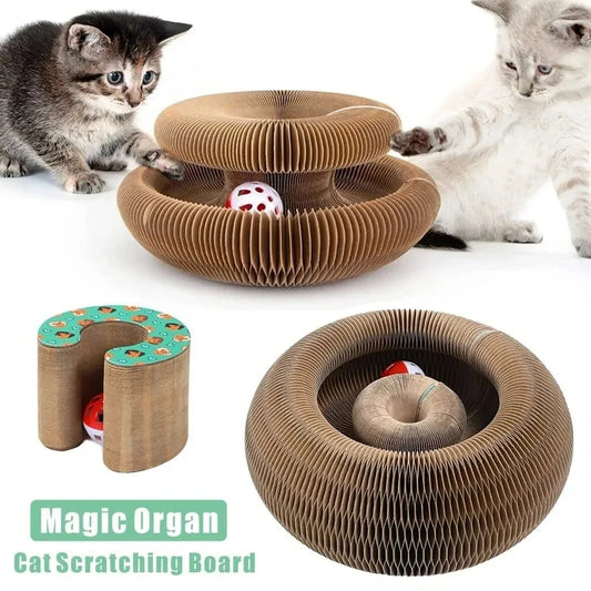 Magic Organ Cat Toy Scratch Board