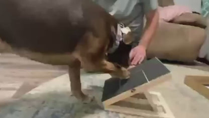 Dog Nail Scratch Board