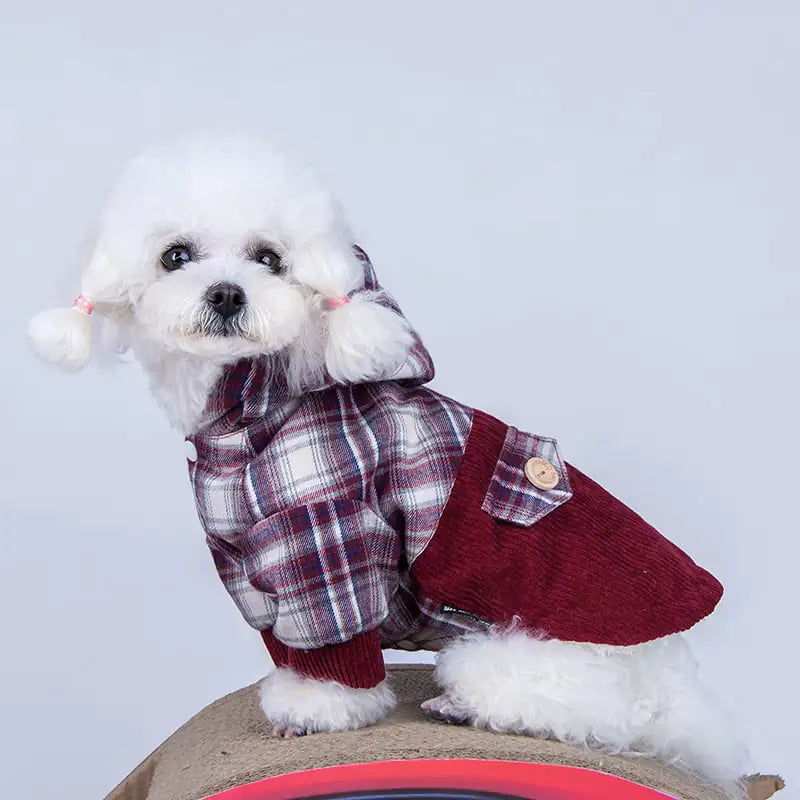 Luxury Pomeranian Cashmere Hoodie
